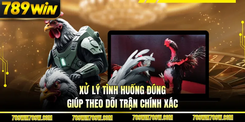 Xử lý tình huống đúng giúp theo dõi trận chính xác